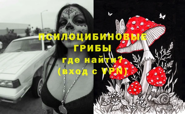 mix Кодинск