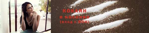 соль курить ск Козловка