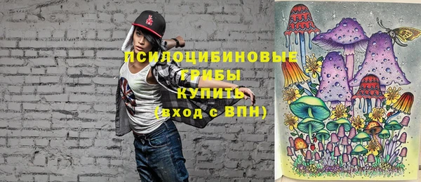 соль курить ск Козловка