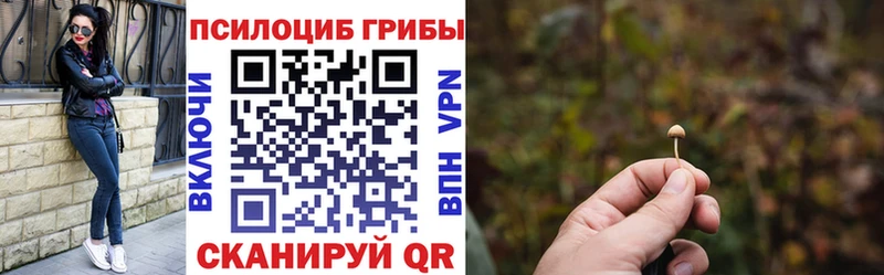 Купить где  Звенигород  Псилоцибиновые грибы GOLDEN TEACHER 